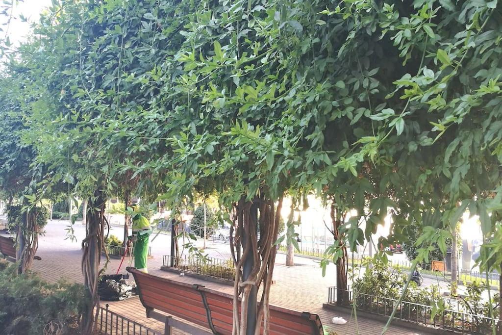 Loft 2 Madri